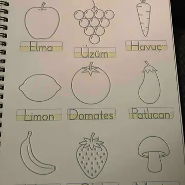 Çizim yapmayı seven çocuklar için harika bir kitap Adım adım ilerlediği için çocuğum zorlanmadan çizim yapabiliyor El becerisi ve kalem kontrolünü geliştirmede çok faydalı buldum Kalitesi de gerçekten çok güzel