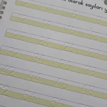 kısa sürede sayılırı yazmayı öğretti.